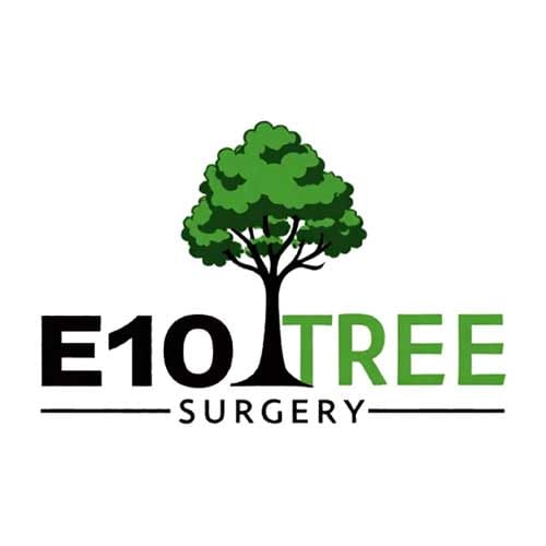 Tree surgeon in East London