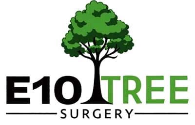 Tree surgeon in East London