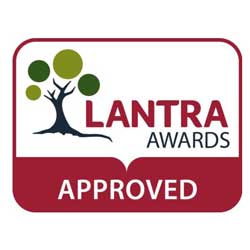 Clearing a fallen tree after a storm in East London